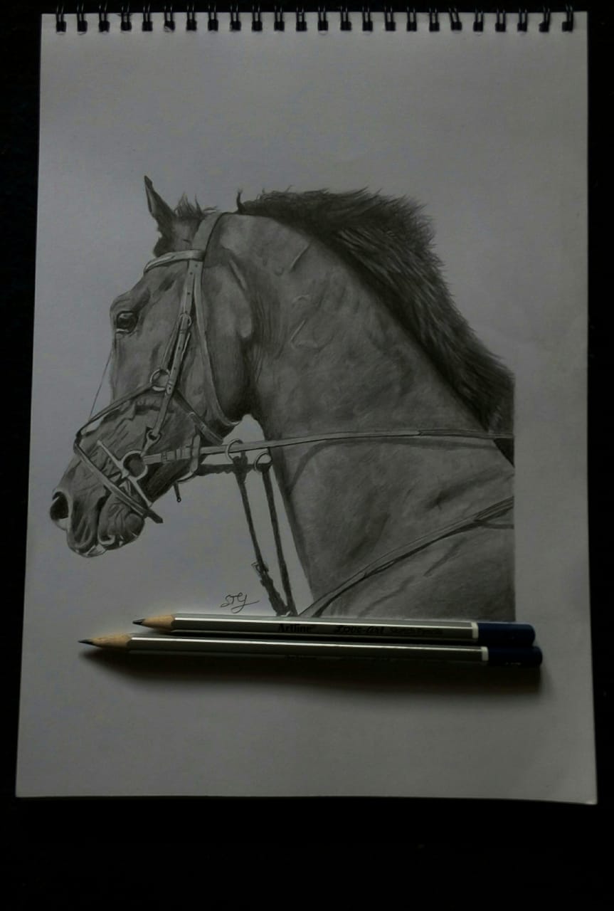 Pencil sketch